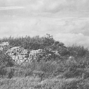 Kościół wniebowzięcia nmp na wołotowym polu: historia budowy, zdjęcia