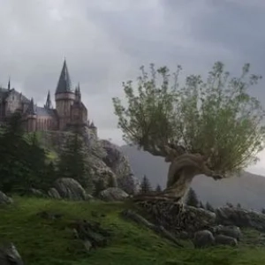Wierzba grzechotnikowa: opis, właściwości magiczne i rola w opowieściach o harrym potterze