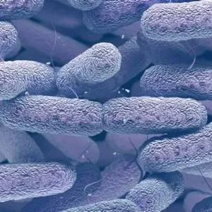 Klebsiella u niemowlaka: objawy, przyczyny, metody leczenia, opinie