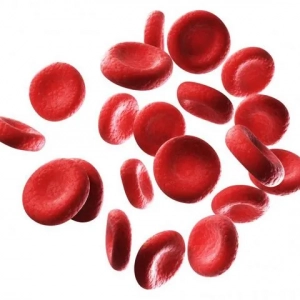 Podwyższona hemoglobina u psów: przyczyny, objawy, leczenie, dieta