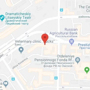 Restauracja khalif, omsk: adres ze zdjęciem, godziny otwarcia, menu i opinie gości