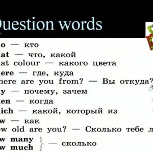 Pytania specjalne z why w języku angielskim: przykłady i zasady