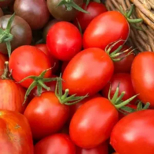 Pomidor księżniczka: zdjęcie z opisem odmiany, charakterystyka, recenzje
