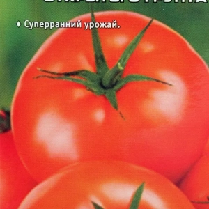 Tomato turbojet: opis odmiany, cechy, recenzje
