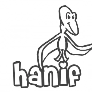 Znaczenie imienia hanifa. Interpretacja liter w imieniu hanifa